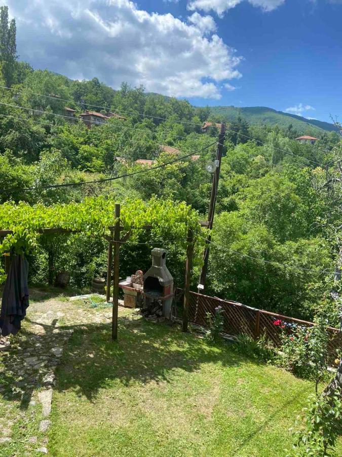 Cottage Modrich Struga Exterior foto